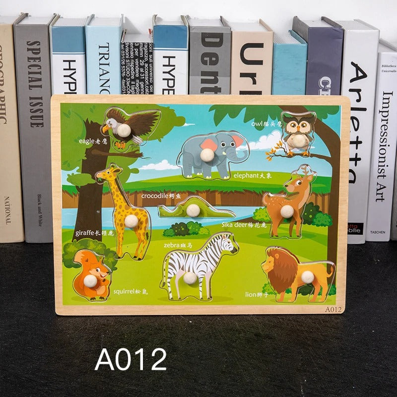 Toddler Wooden Peg 3D Puzzles