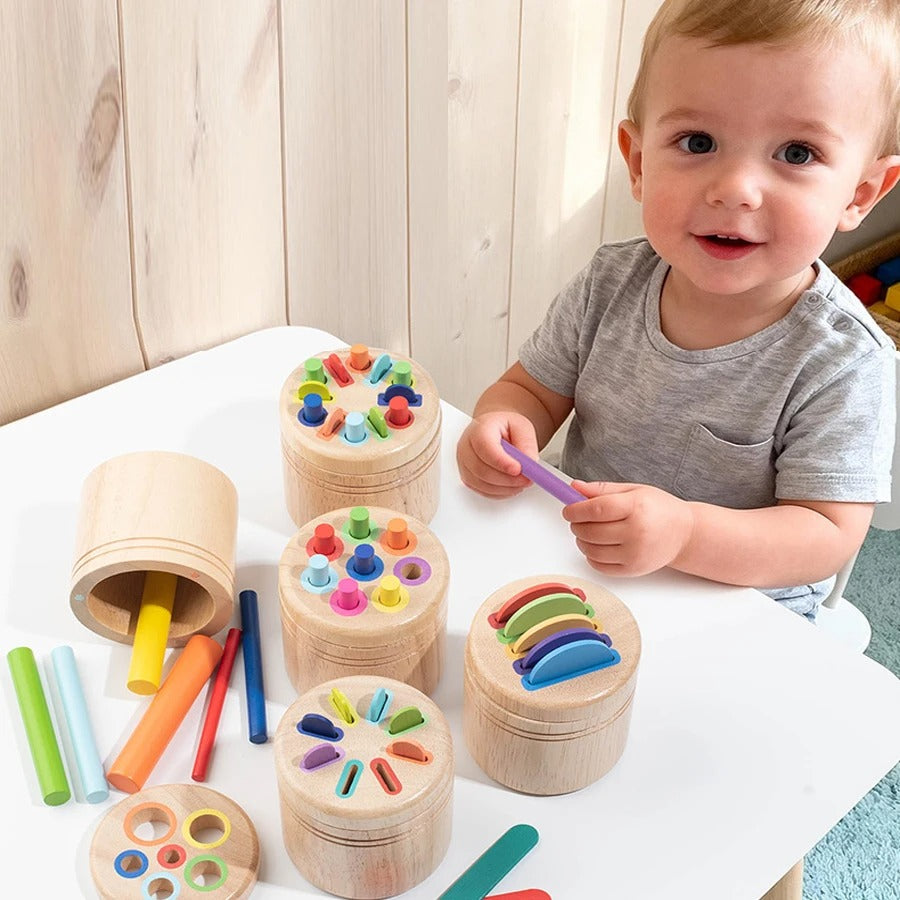 Color Sorting Toy